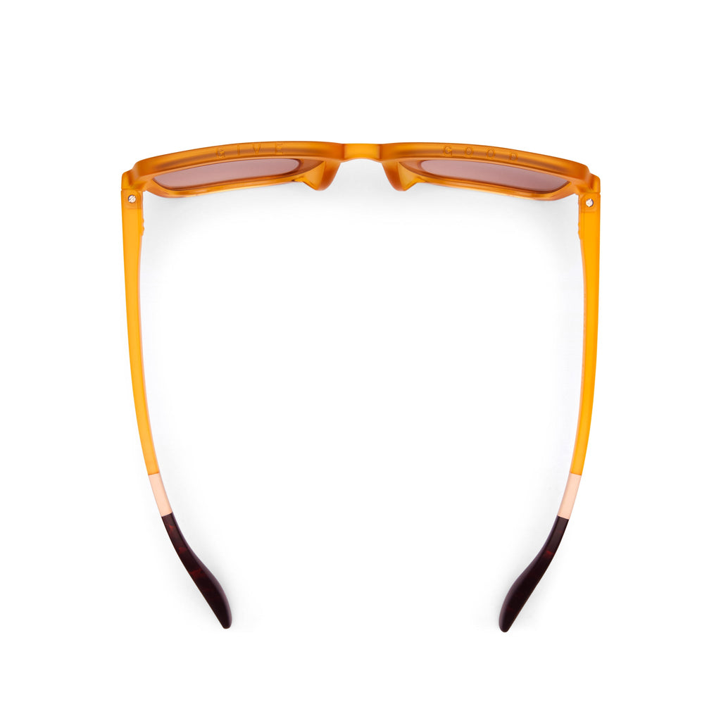 Athena Honeycomb Traveler Sunglasses Top View