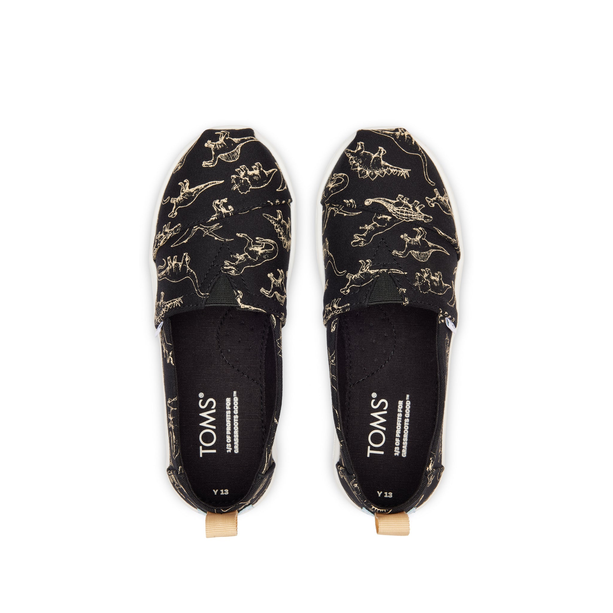 Youth Alpargata Dino Top View