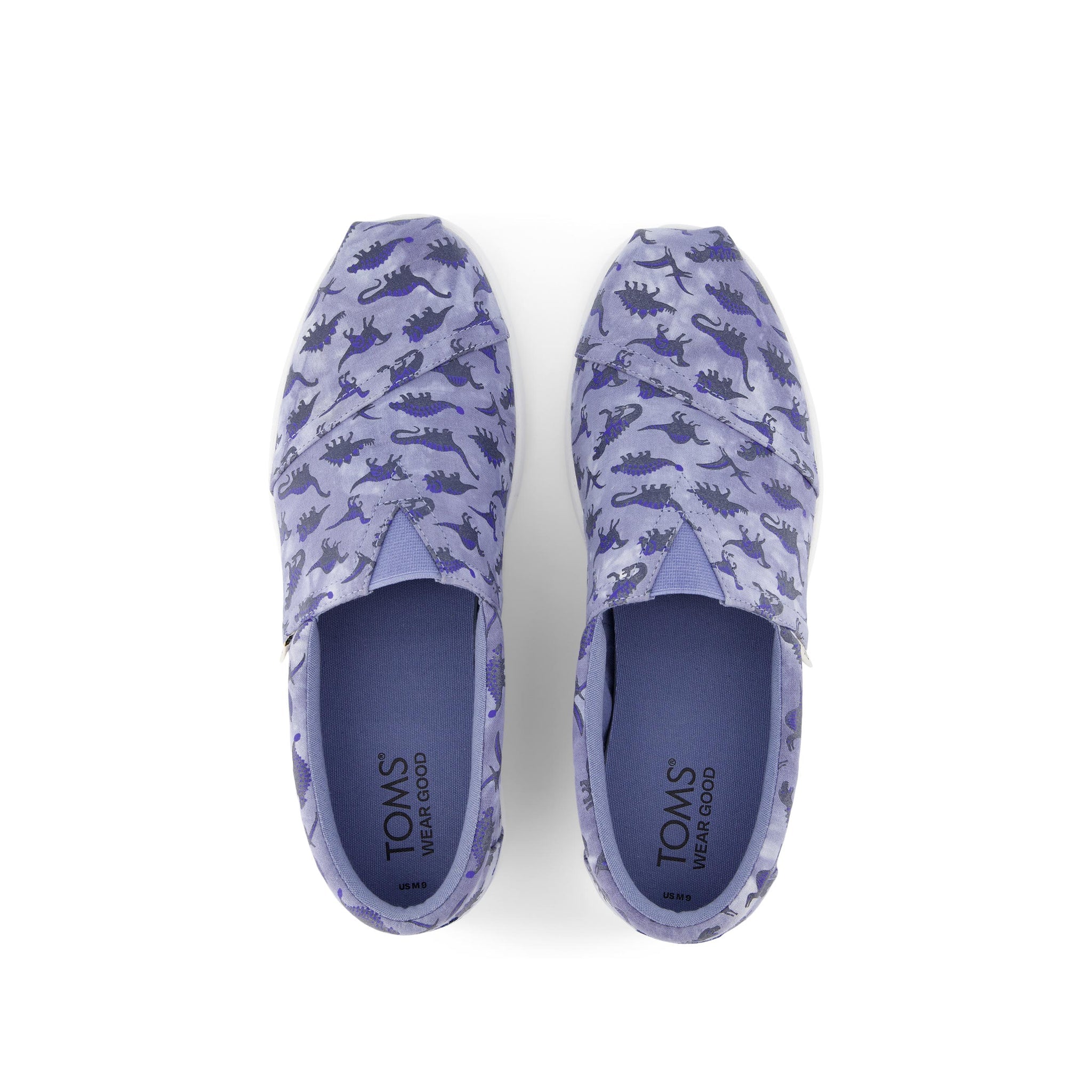 Alp Fwd Dino Print Top View