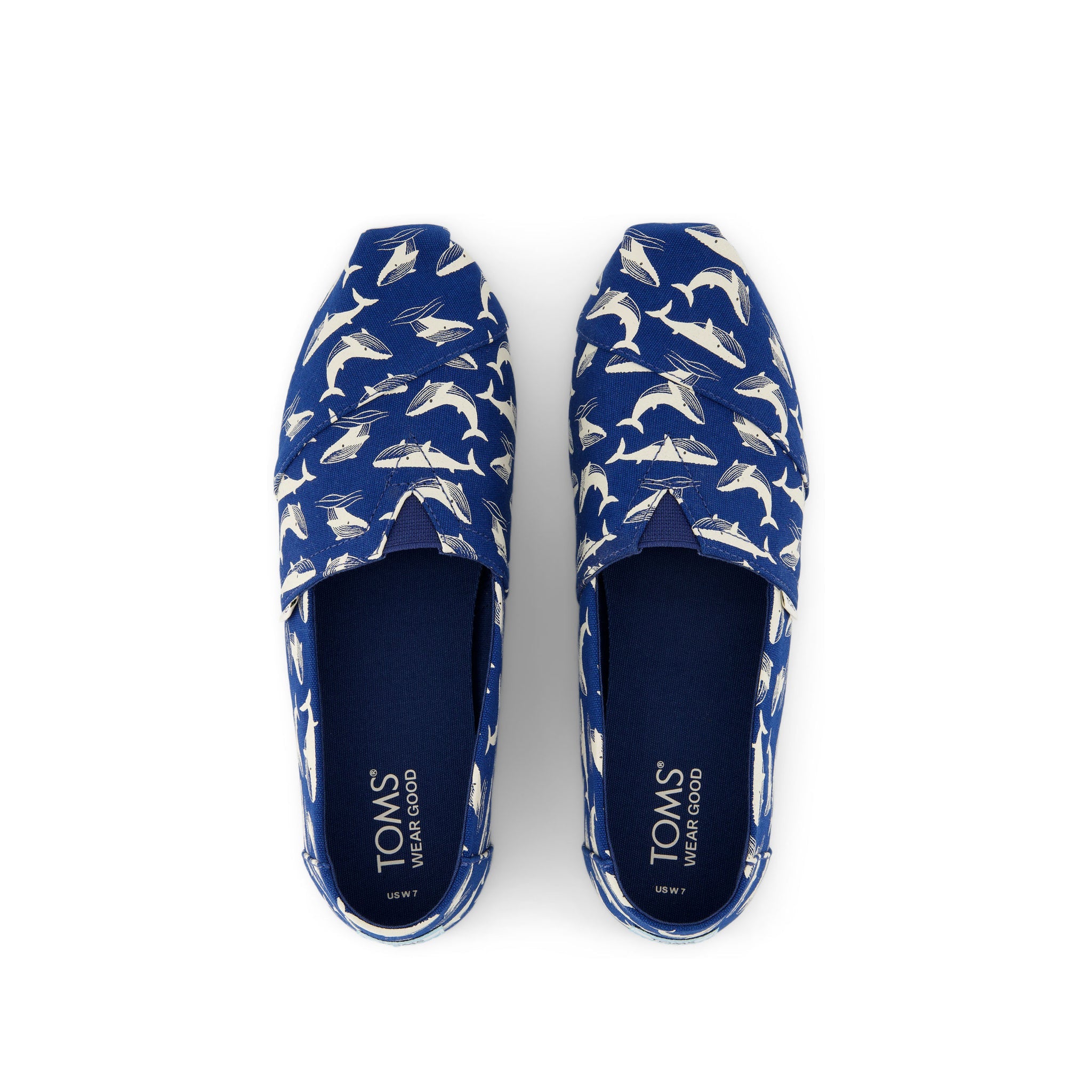Alpargata Blue Glow in the Dark Whales Top View