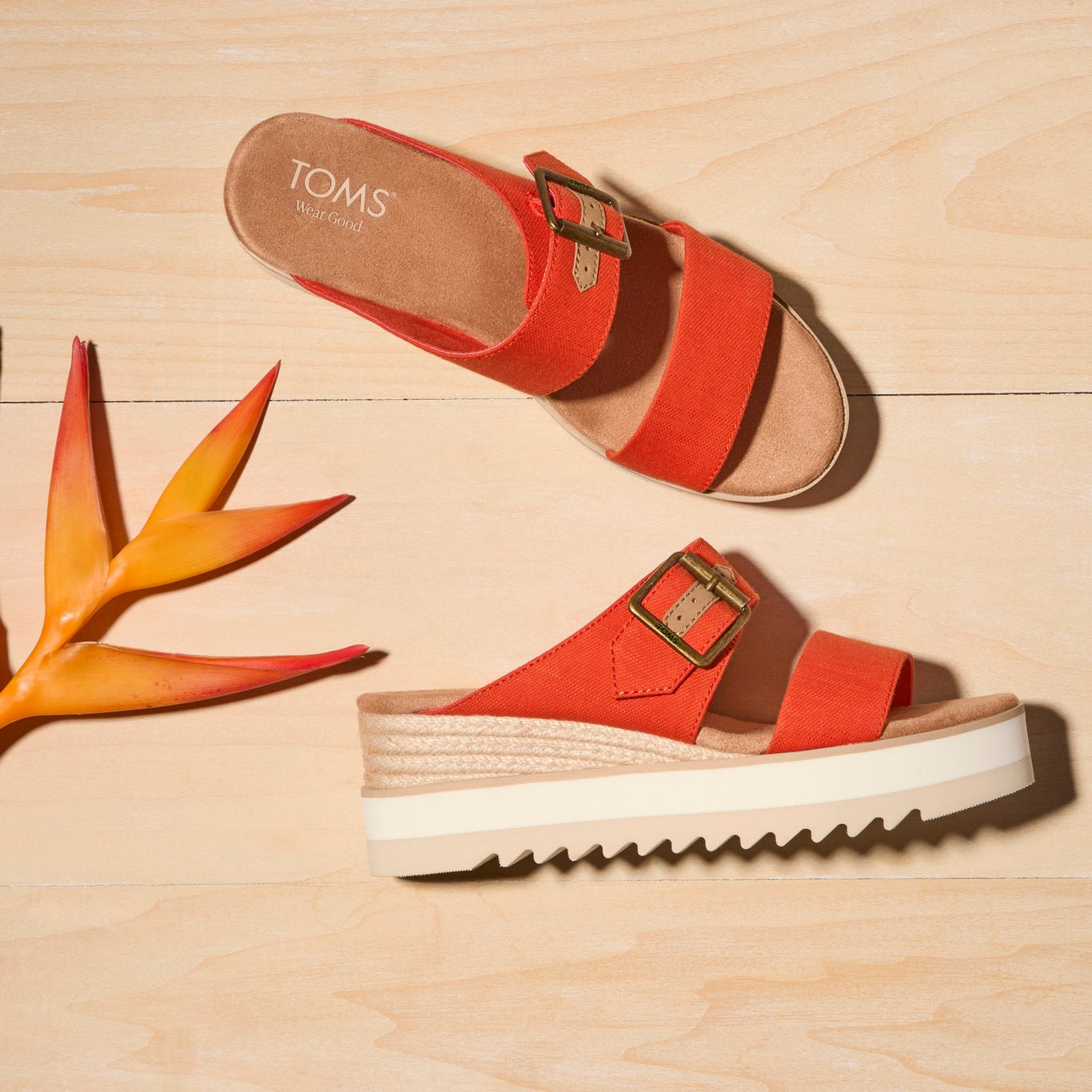 Laydown image of the Flame Diana Mule Buckle Wedge Sandals